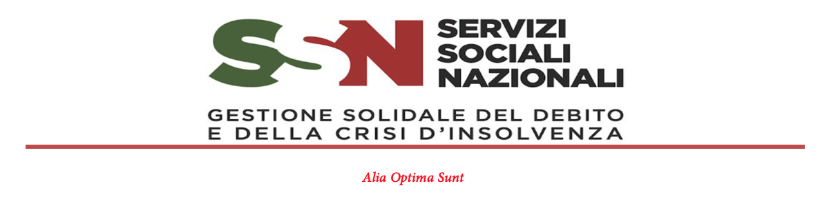 Logo SSN